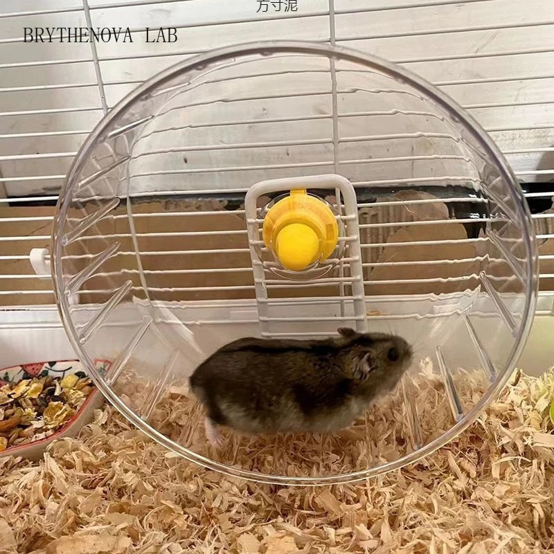 Hamster Cage Wheel - Бесшумное прозрачное колесо для хомяков с