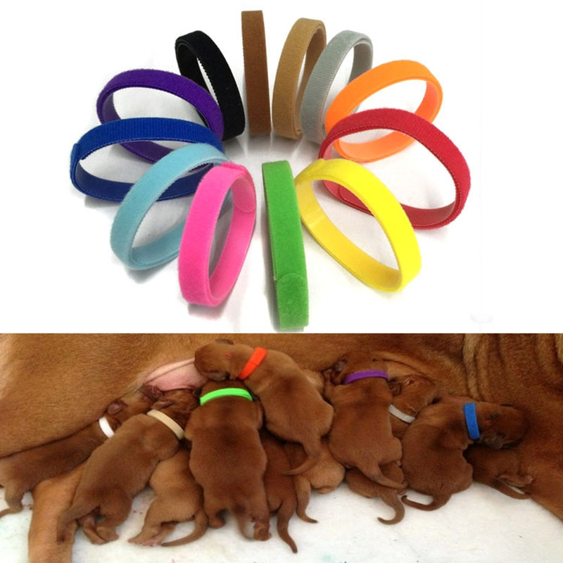 Pet Supplies Coupon - 12 шт./компл. ошейники для щенков, регулируемые