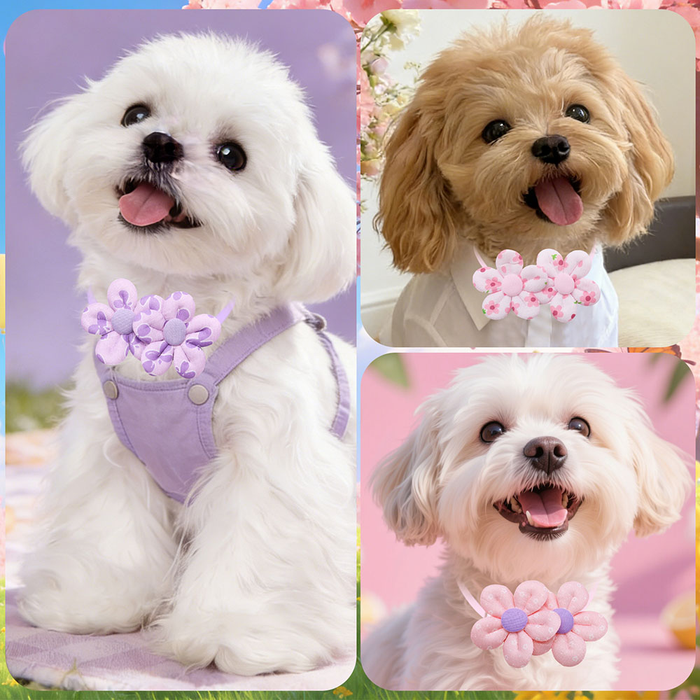 10 шт. регулируемых бантиков д – обзор и цена Pet Supplies Coupon