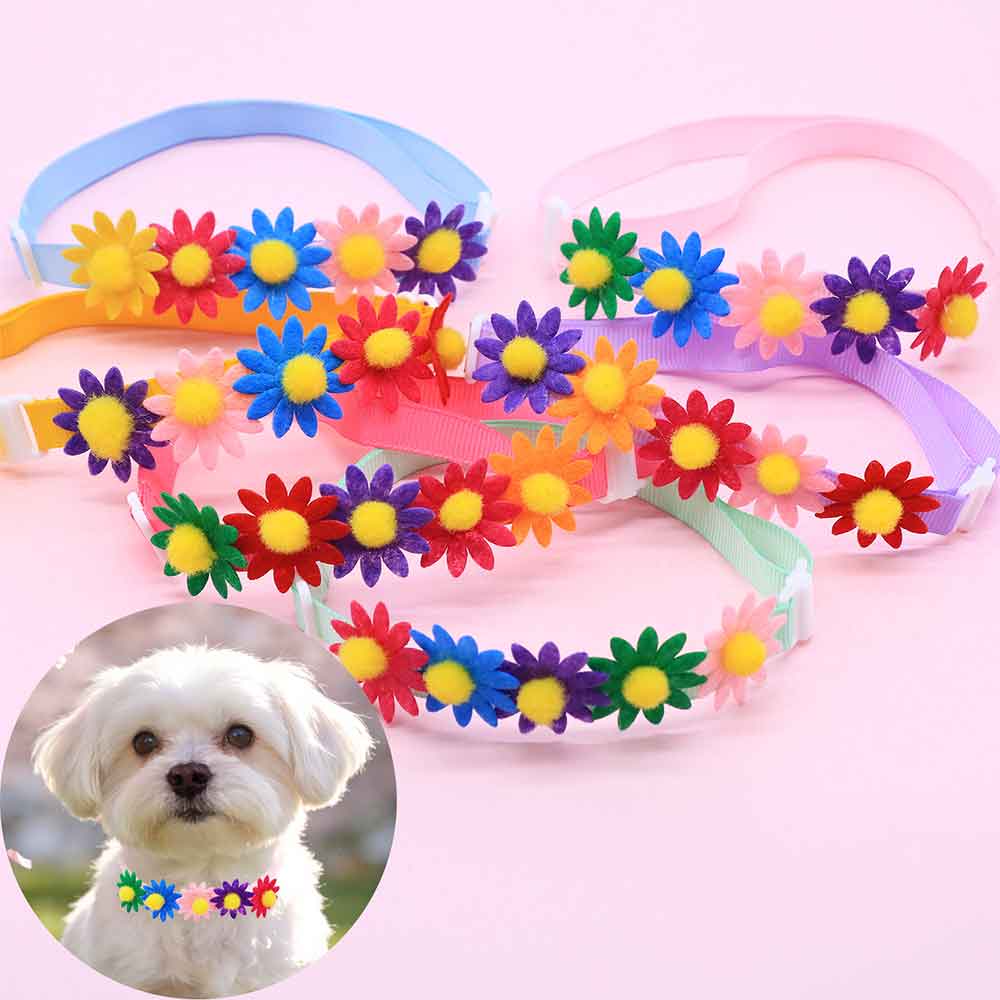 50 шт. разноцветных бантиков д – обзор и цена Pet Supplies Coupon