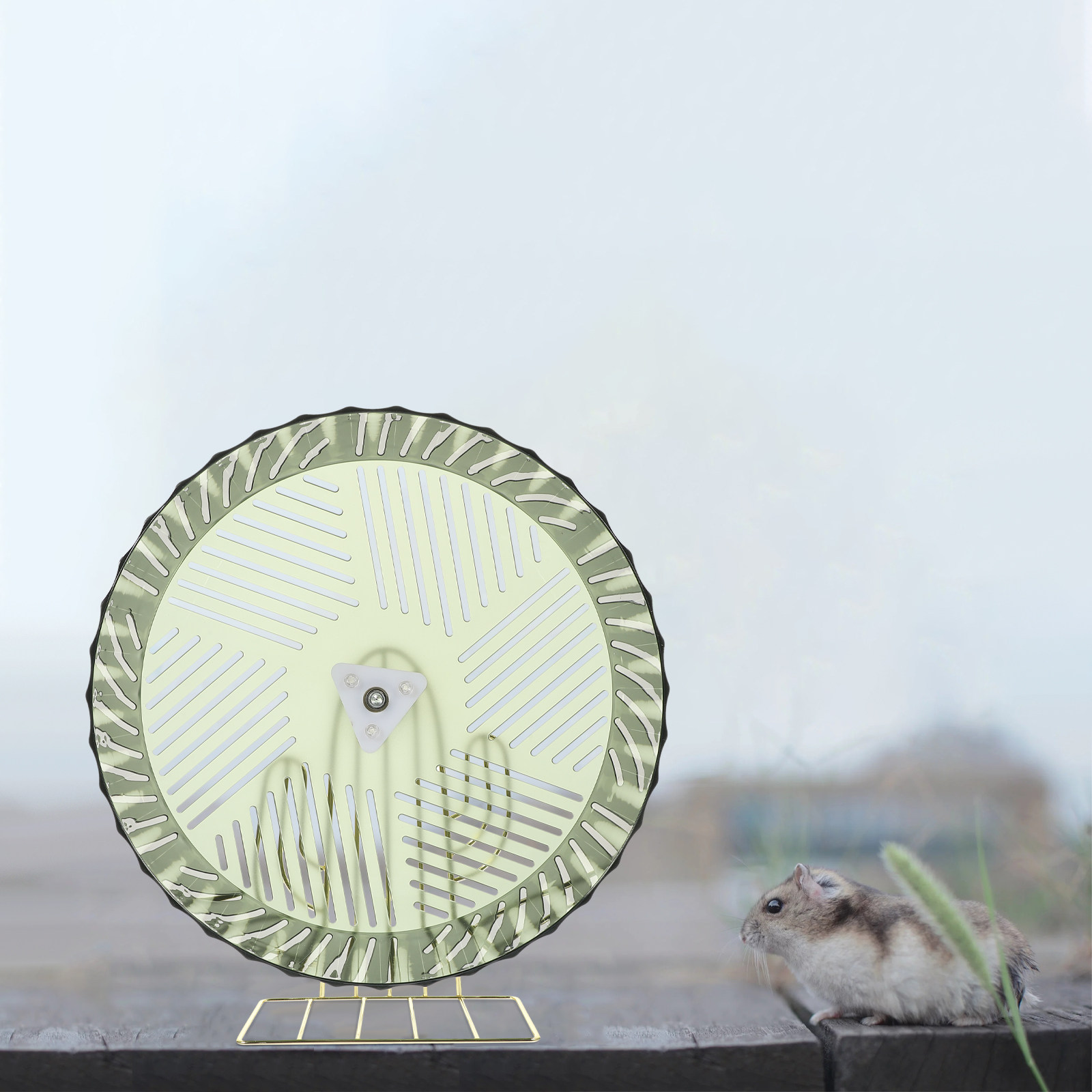 Колесо для хомяков Healthy Gro – обзор и цена Hamster Cage Wheel