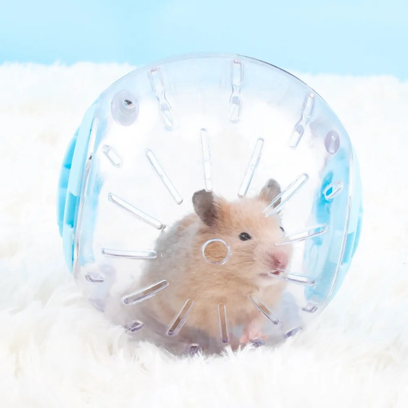Пластиковый спортивный мяч на  – обзор и цена Hamster Cage Wheel