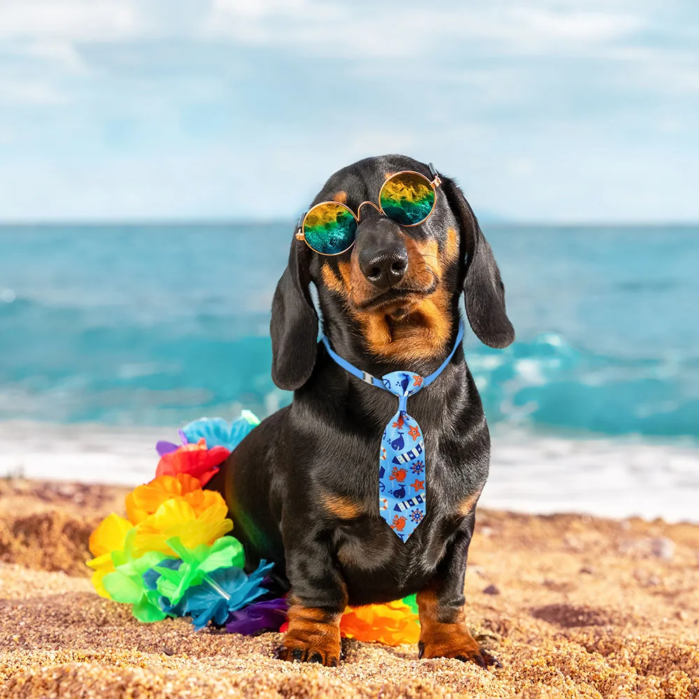 50 шт., галстуки-бабочки для у – обзор и цена Pet Supplies Coupon