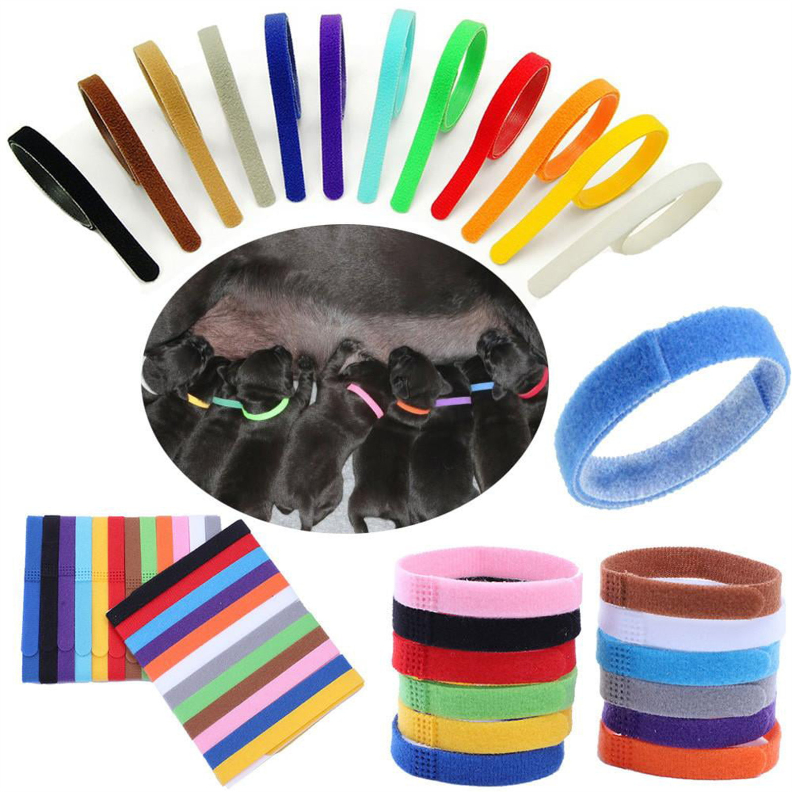 12 шт./компл. ошейники для щен – обзор и цена Pet Supplies Coupon