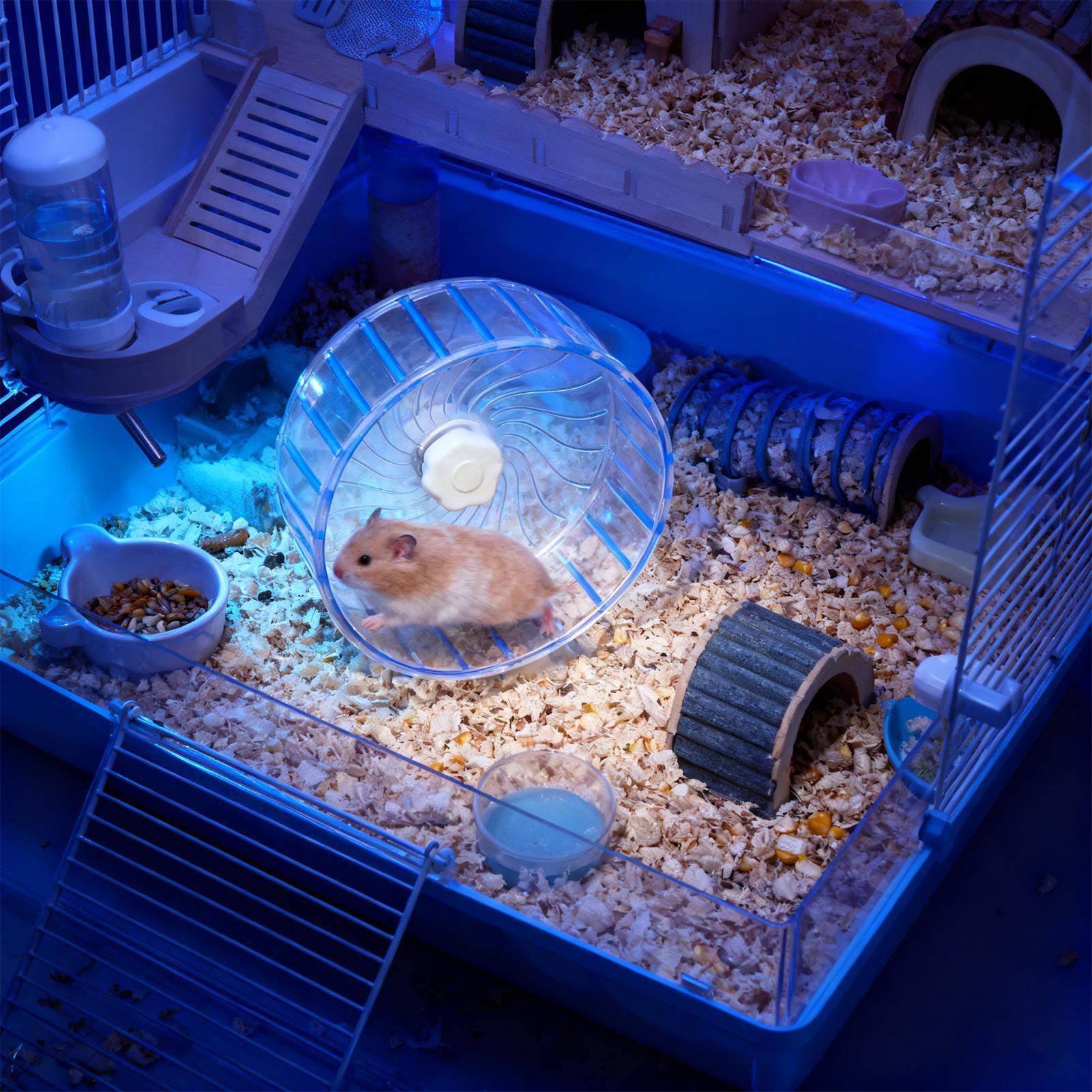 Бесшумное колесо для хомяков с – обзор и цена Hamster Cage Wheel