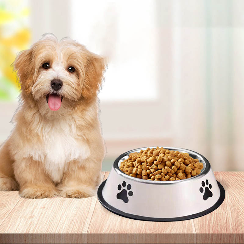 Миска для домашних животных из – обзор и цена Pet Supplies Coupon